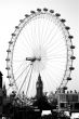 The London Eye