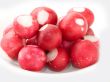 Radish