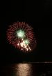 red and green floral fireworks