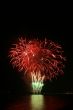 red flower bouquet fireworks