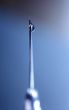 syringe close-up, focus on the drop