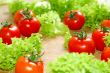 Fresh salad with tomatoes