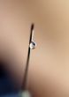 syringe close-up, focus on the drop