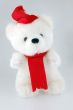 Teddy bear with Santa hat on a white background
