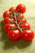 red cherry tomatoes on the vine