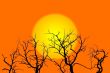 Sun and Trees Illustration