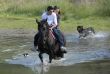 riding couple in a river with dogs