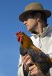 man and rooster