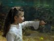 little girl and aquarium