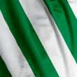 White and Green Team Colors Flag