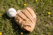 Baseball And Glove