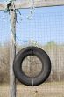 Tire Swing