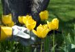 Gardener