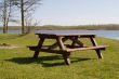 Picnic Table