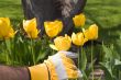Gardening