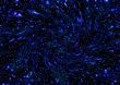 Space abstract. Stars