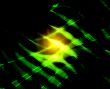 Neon fantasy