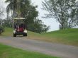 golf cart