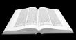 Holy Bible