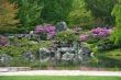 Flowering Japanese garden