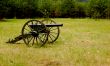 Cannon in Field