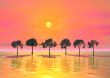 Pink Sunrise. Tees