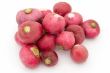 garden radishes