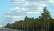 Road among woods