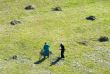 Two people clean a grass