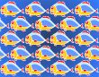 fish background
