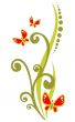 plant and butterflies