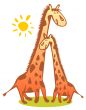 two giraffes