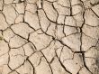 Cracked ground