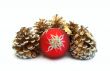 Red christmas ball with pine cones