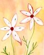 Waterpaintet flowers
