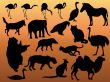 Animals silhouette