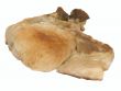 pork chop unpitted
