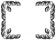 Framework from leaves Syngonium