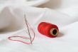 Close-up of needle and thread