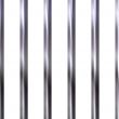 Shinning Jail Bars