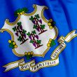Connecticut Flag Closeup