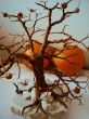 Copper tree and oranges