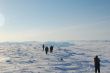 north pole walk