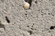 Cement Background