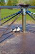 Merry-go-round