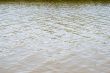 River Background