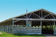 Cattle Barn Close-up