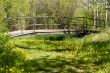 Bridge In Park