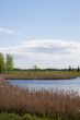 Wetlands