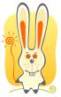 bunny and sun